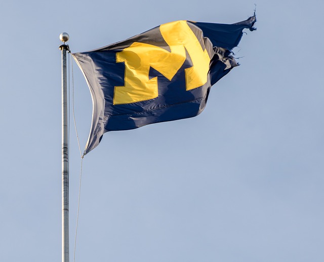 A picture of the U of M flag (yellow and blue with a large M in the middle) flapping in the wind against a blue sky.